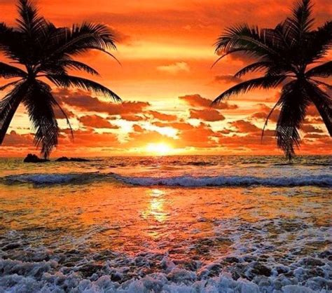 Solve Tropical Sunset Jigsaw Puzzle Online With 132 Pieces