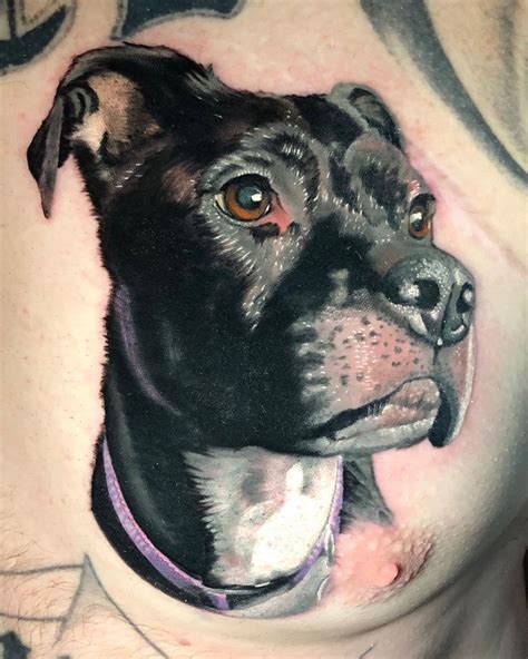 101 Amazing Pit Bull Tattoo Ideas You Will Love Outsons Mens