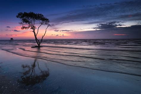 Tree Near Body Of Water K Wallpaper Hd Nature Wallpapers K Wallpapers Images Backgrounds