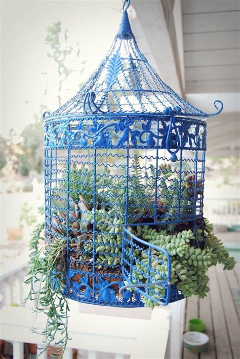 25 Best Decoration Ideas With Birdcage Planters In 2023