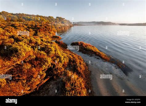 Coffin Bay Hi Res Stock Photography And Images Alamy