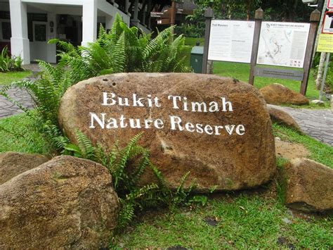 bukit timah nature reserve nature reserves and the conservation of singapore s habitats