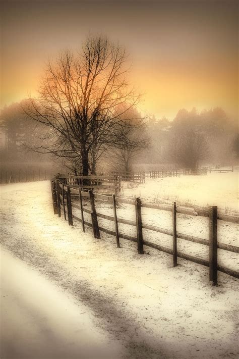 Winter Landscapes Pinterest