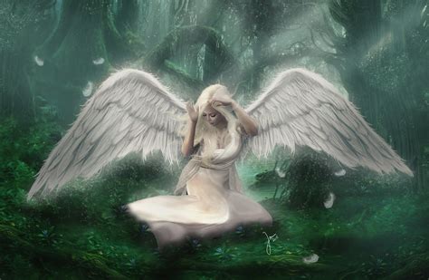 White Angel In Forest
