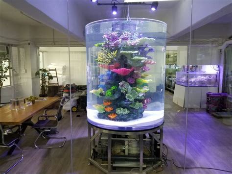 Custom Made Cylinder Tank Fish — Redfin Aquarium Design