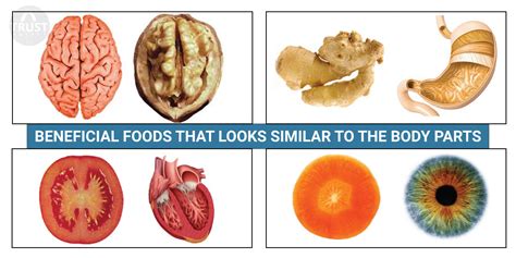 Beneficial Foods That Looks Similar To The Body Parts Trustbasket