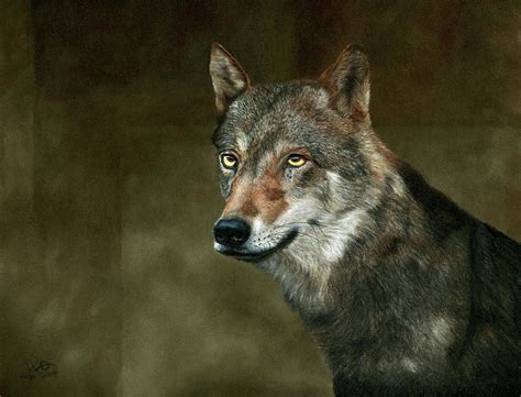 Native American Zodiac Series Wolf Mixed Media By Wendi Obrien