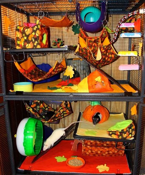 Amazing Savings On Small Animal Toys Critter Nation Cage Pet Rat