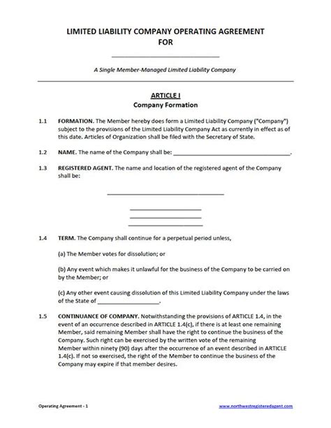 single member llc operating agreement template