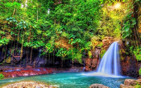 690391 Title Earth Waterfall Waterfalls Forest Tree Cascada Fondo De