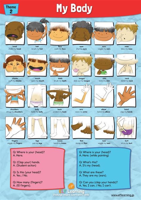 Body Parts Vocabulary Poster