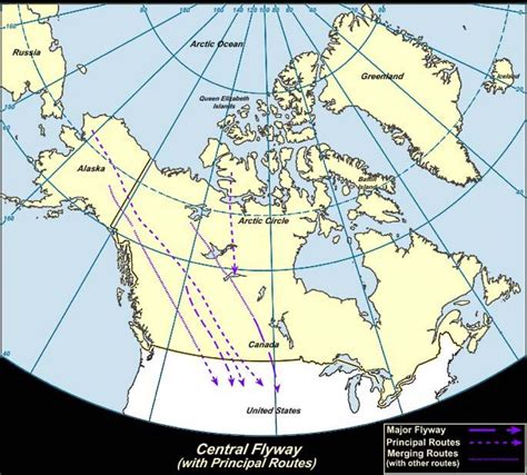 North American Migration Flyways Optics Empire