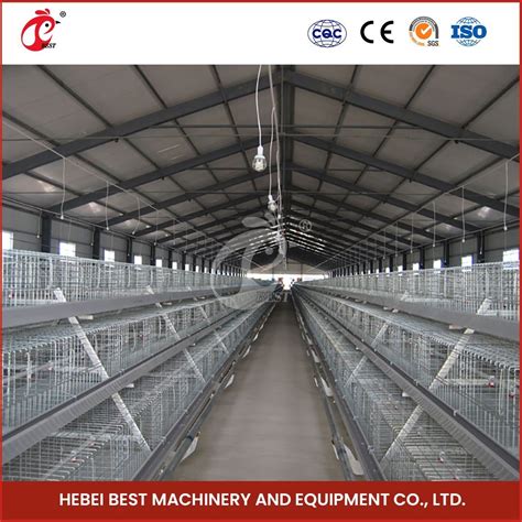 Bestchickencage China Poultry Farm Chicken Cage Factory A Frame