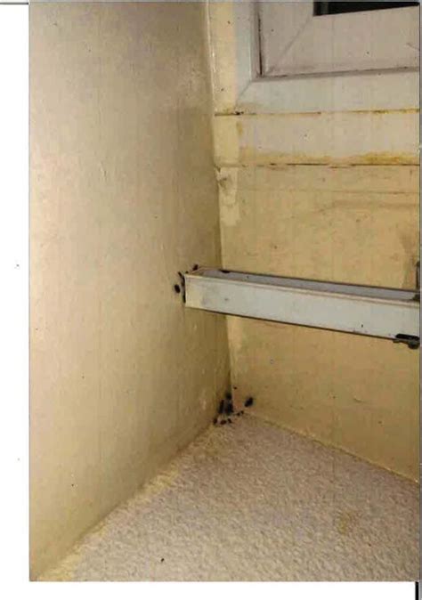 pomona tenants allege cockroach infestation pervasive mold growth in lawsuit san gabriel