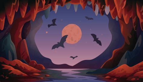 Cave Bat Wildlife Mammal 스톡 사진 및 일러스트 Istock