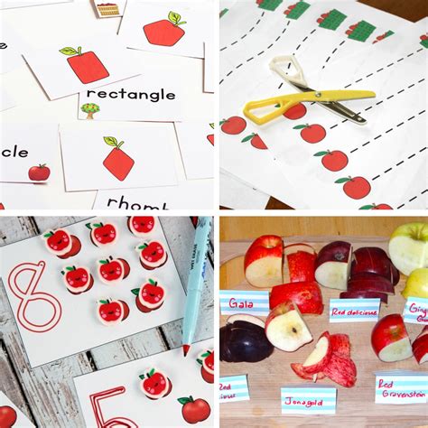50 Fun Apple Activities For Preschoolers Kindergarten