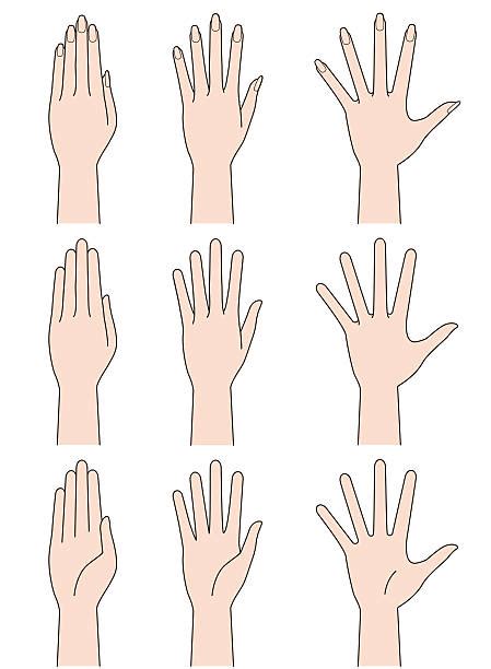 Palm Reading Clip Art Vector Images And Illustrations Istock