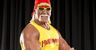 What Is Hulk Hogan Doing Now Since He Retired From Professional Wrestling?