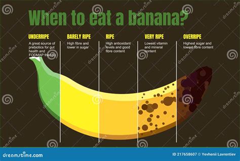 Banana Ripeness Stages Infographics Chart Bunch Of Bananas Colour