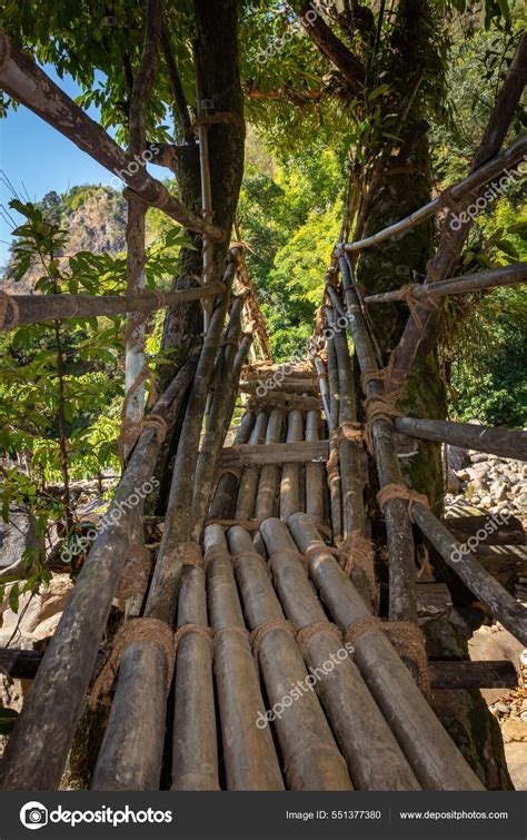 Puente Bambú Tradicional Para Cruzar Río Bosque Por Mañana Desde