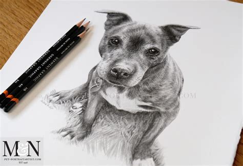 Dog Pencil Drawing 5 Melanie And Nicholas Pet Portraits