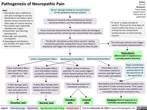 Pathogenesis of Neuropathic Pain  Calgary Guide