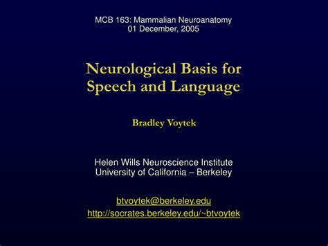 PPT Neurological Basis For Speech And Language PowerPoint Presentation ID
