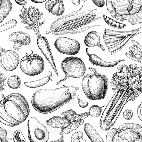 Vegetable Seamless Pattern Hand Drawn Vintage Vector