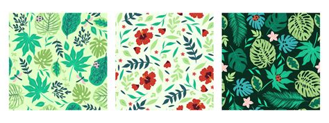 Set Of Seamless Patterns With Tropical Leaves And Flowers Vector