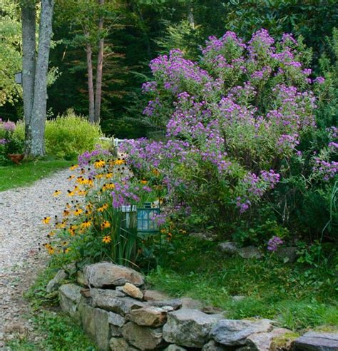 Top Native Plants For The Northeast