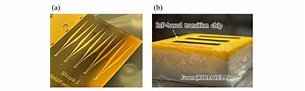Photograph of (a) the fabricated transitions on 100-µm thin InP ...