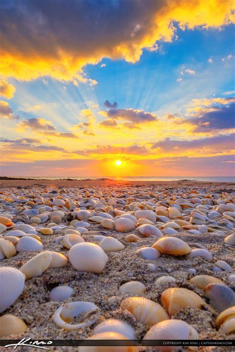 Ocean Reef Park Sunrise With Seashells Hdr Photography By Captain Kimo