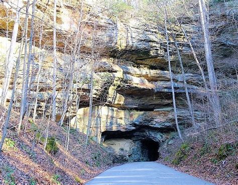 Red River Gorge Geological Area Winchester 2023 What To Know Before