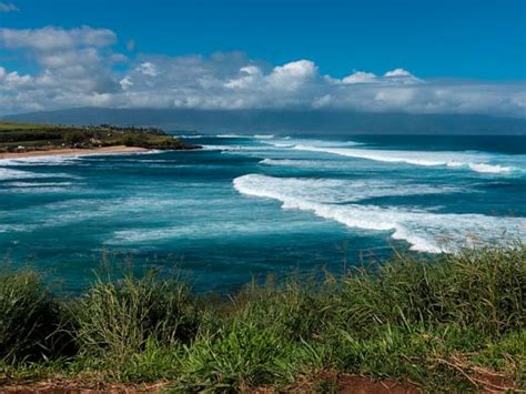 Man Dies After Shark Encounter At Mauis Paia Bay Officials