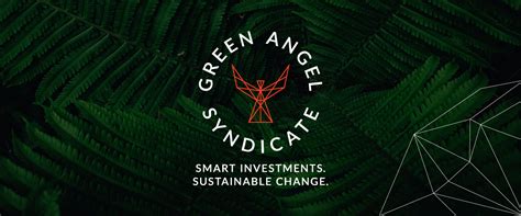 Green Angel Syndicates First Portfolio Impact