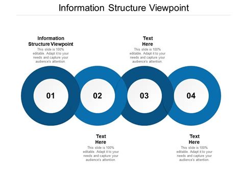 Information Structure Viewpoint Ppt Powerpoint Presentation Show
