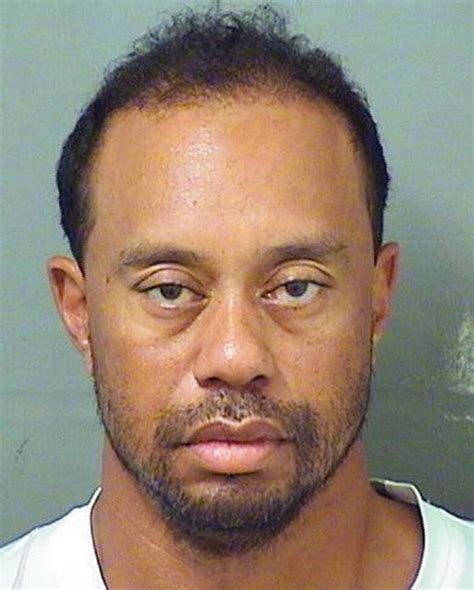 Tiger Woods Arrested In Florida On DUI Charge Released Times Leader