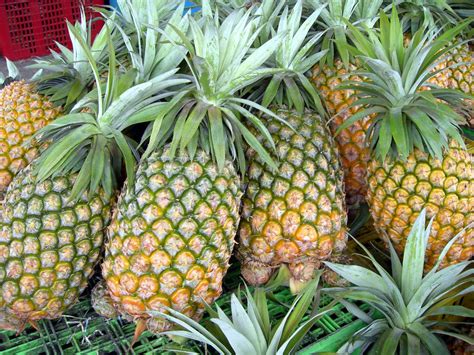 Health Benefits Of Pineapples Aka Ananas 11 Amazing And Surprising