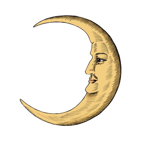 Hand Drawn Sketch Of A Crescent Moon Download Free Vectors Clipart