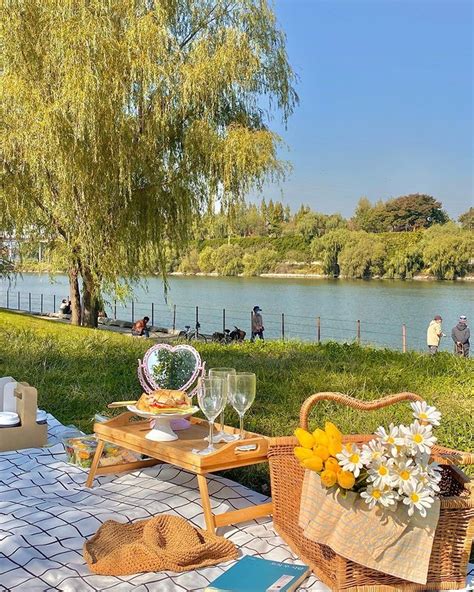 10 Picnic Spots In Seoul That Make You Feel Like Youre In A Fairytale