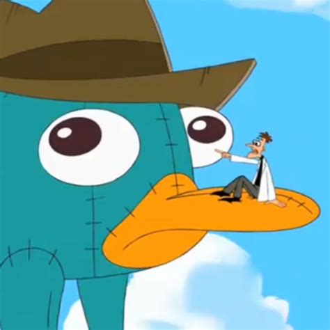 10 New Perry The Platypus Wallpaper Full Hd 1920×1080 For Pc Background