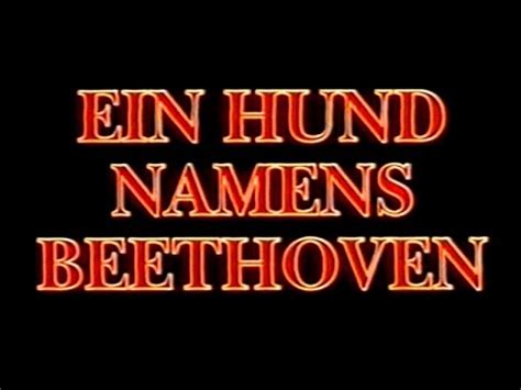 Ein hund namens beethoven wird der am besten gefallen film produziert von universal pictures sie jetzt sind beobachten : Ein Hund namens Beethoven - Trailer (1992) - YouTube