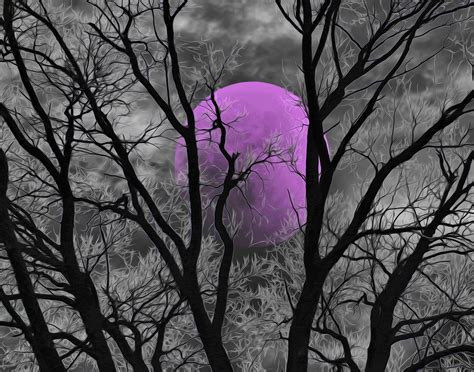 Black White Purple Wall Pictures Tree Moon Decor Moon Wall Image 0