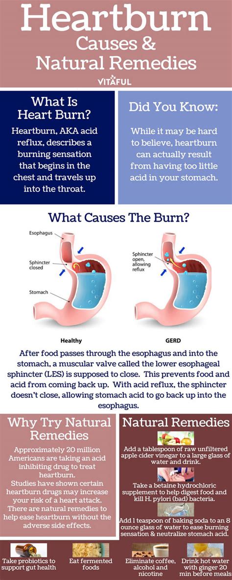 Cure Heartburn With Healthier Natural Remedies Infographic