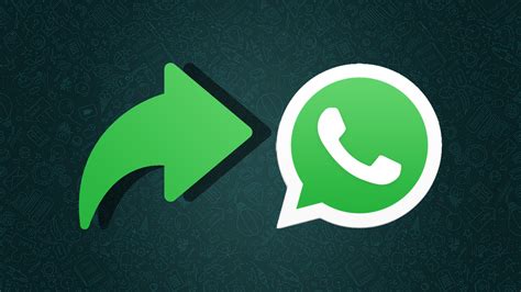 Whatsapp Has Rolled Out The Restriction Of Single Chat Forwards For