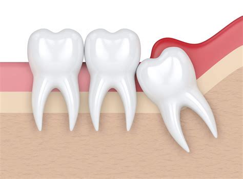 Numeración dental Cuál es la numeración de los dientes Vitaldent
