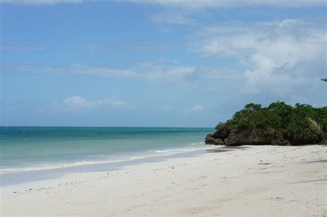 Visit Diani Beach Best Of Diani Beach Mombasa Travel 2022 Expedia