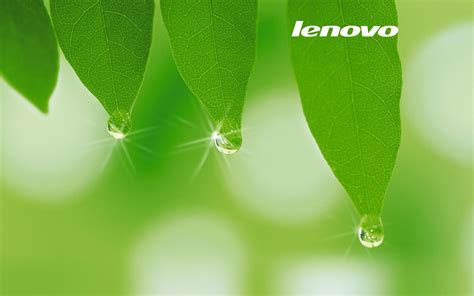 48 Lenovo Wallpapers Free Download On Wallpapersafari