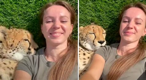 Youtube Viral Woman Approaches Cheetah To Take A Selfie And Feline Has
