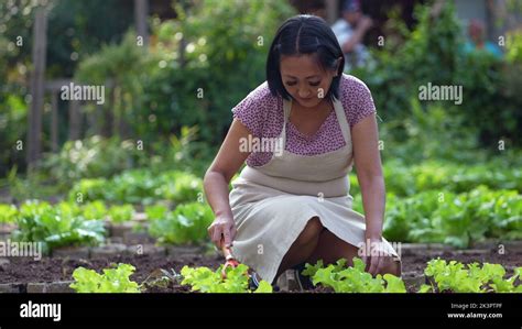 Female Farmer Cultivating Organic Food At Small Local Farm Asian